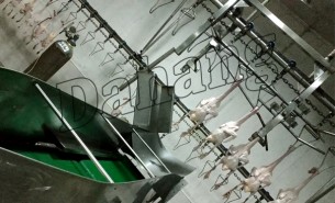 白條鴨重量分選機領(lǐng)域加工行業(yè)的技術(shù)革新