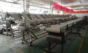 海參捕撈季將至，海參重量大小自動分級秤正緊密備貨中