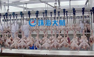 重量分揀設(shè)備如何實現(xiàn)整雞分選？