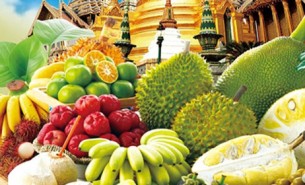 探索水果分揀機(jī)如何通過(guò)自動(dòng)化技術(shù)在果園、加工廠、保鮮庫(kù)及零售環(huán)節(jié)提高生產(chǎn)效率，降低成本，并確保水果品質(zhì)滿足市場(chǎng)需求。