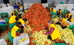 自動(dòng)化分揀稱重設(shè)備：助力生鮮、凍貨及食品加工行業(yè)突破瓶頸