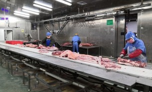 豬蹄重量分選機(jī)解決方案-大航智能分選設(shè)備省成本30%