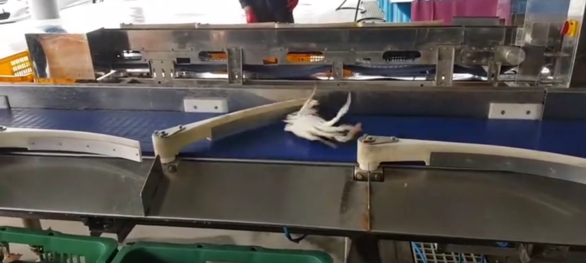 1592210456550806.png image.png